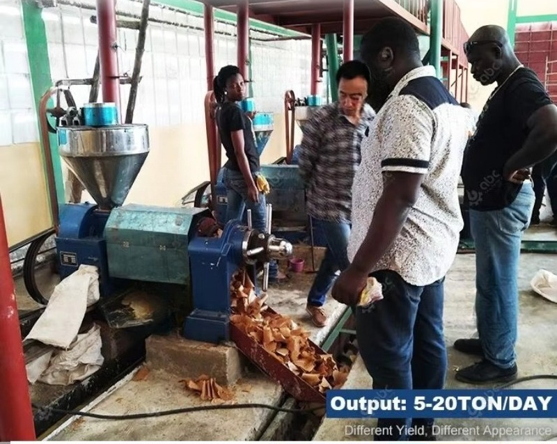 Maszyna do produkcji oleju sło – Castor Oil Cold Press recenzja i cena
